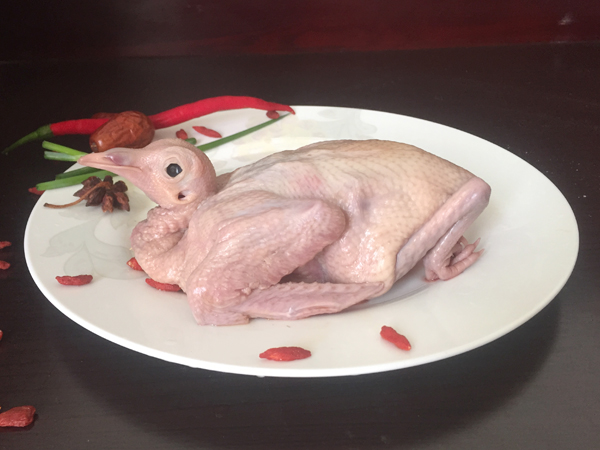 鴿子肉